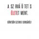 thumbnail of plakat3.jpg